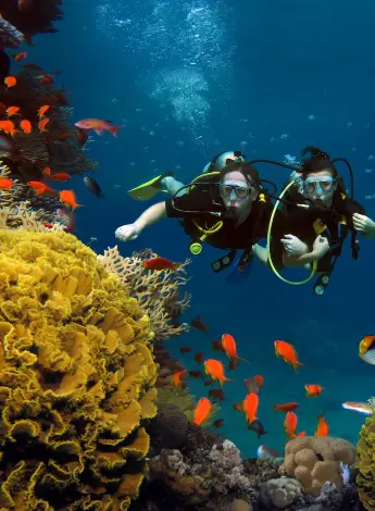 Group of divers underwater